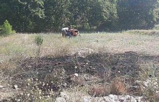 Manavgat’taki yangın ormana sıçramadan söndürüldü