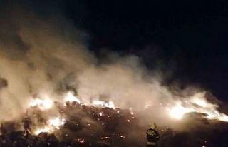 Manisa’da 15 bin balya saman kül oldu