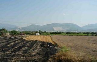 Manisa’da ekin yangını başka tarlalara sıçramadan...