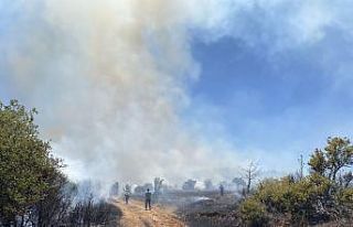 Manisa’da makilik alanda yangın