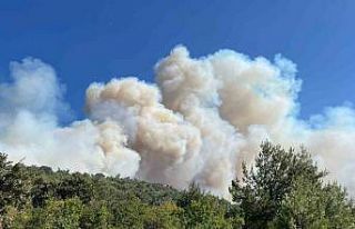 Manisa’da orman yangını: Birçok ev yandı, vatandaşlar...