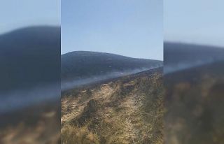 Manisa’da otluk alanda yangın: 1 kişi dumandan...