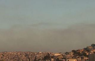 Manisa’da yanan ormandan yükselen dumanlar İzmir’den...