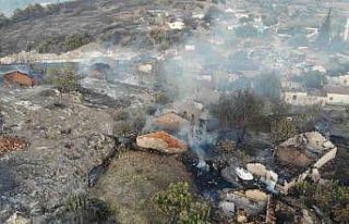 Manisa’daki orman yangınında 14 ev ve 3 ahır...