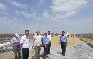 Manyas’ta TMO hububat alım merkezi açıldı