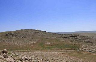 Mardin’de pleistosen ve erken holosen döneme ilişkin...