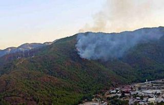 Marmaris orman yangını ile uyandı