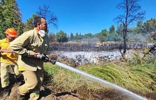 Marmaris’te çıkan yangın söndürüldü