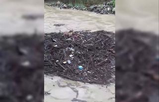 Melen Çayı’na düşen köpek, odun parçalarının...