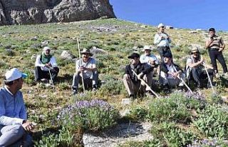 Mereto Dağı turizme kazandırılıyor