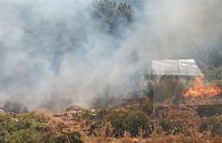 Mersin Bozyazı’da orman yangını büyümeden söndürüldü