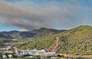 Mersin’de orman yangını