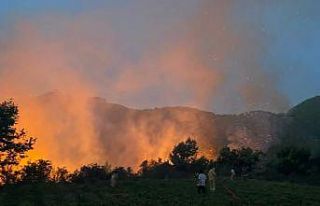 Mersin’de orman yangını havadan ve karadan müdahale...