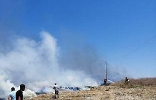 Mersin’de tarım arazisinde çıkan yangın söndürüldü