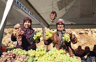 Mersin’de Üzüm Şenliği coşkusu