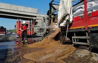 Mersin’de yem yüklü tır yandı