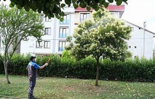Mesire alanları ve parklar ilaçlanıyor