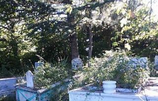 ‘Metristepe Şehitler Heykeli’ ve mezarlar bakımsızlıktan...