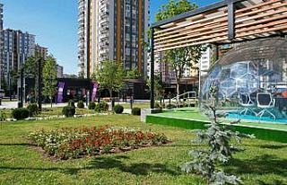 Mevlana Meydanı rengarenk