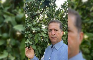 Meyve ihracatına Akdeniz meyve sineği tehdidi