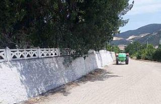 Mezarlık duvarları beyaza boyandı