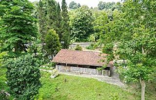 Mezarlık içinde unutulan tarih, koruma altına alınacağı...