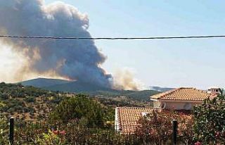 Milas yangını büyüyor