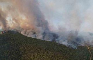 Milas’taki orman yangını havadan görüntülendi