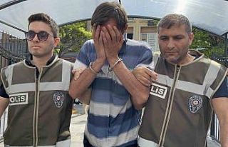 Minibüsün arkasına at bağlayan sürücü adliyeye...