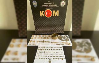 Muğla’da tarihi eser operasyonu: 1 gözaltı