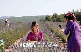 Muğla’nın ‘Mor’ bahçesine ziyaretçi akını