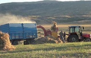 Muş Ovası’nda çiftçilerin kış mesaisi başladı