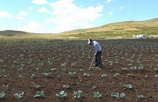 Muş’ta 30 yıl sonra bir ilk: Köylerine dönüp...