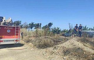 Muz bahçesinde korkutan yangın