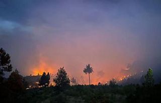 Nallıhan’da yıldırım düşmesi sonucu çıkan...