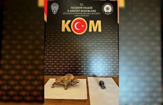 Nevşehir’de yakın döneme ait 5 tarihi eser ele...