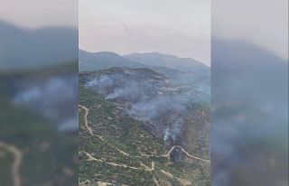 Ödemiş’teki yangın kontrol altına alındı