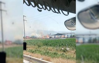 Oduncuda yangın çıktı