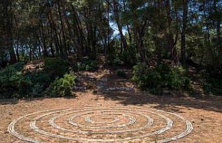 Olivelo Yaşayan Park’ta safari turları yarın...