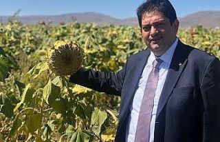 Oral; Hasat çiftçimizin bayramıdır