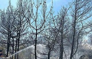 Orman yangınına jandarma desteği