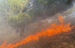 Ormana sıçrayan yangın 3 saatte kontrol altına...