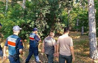 Ormanlar 7/24 gözetim altında