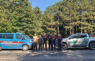 Ormanlara sıkı koruma