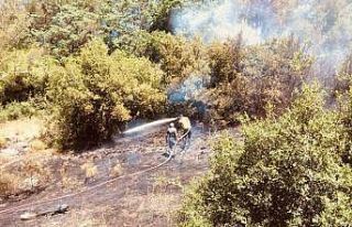 Ormanlık alanda çıkan yangın söndürüldü