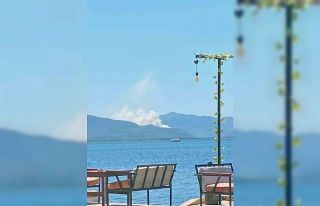 Ortaca’da orman yangını