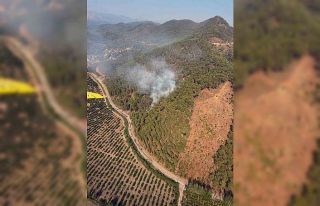 Ortaca’da orman yangını büyümeden söndürüldü
