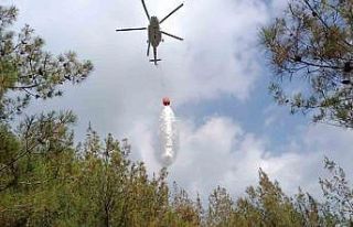 Osmaniye’de 1 dönüm kızıl çam ormanı yandı