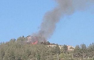 Osmaniye’de çıkan orman yangını kısa sürede...