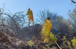 Osmaniye’de orman yangını, büyümeden söndürüldü